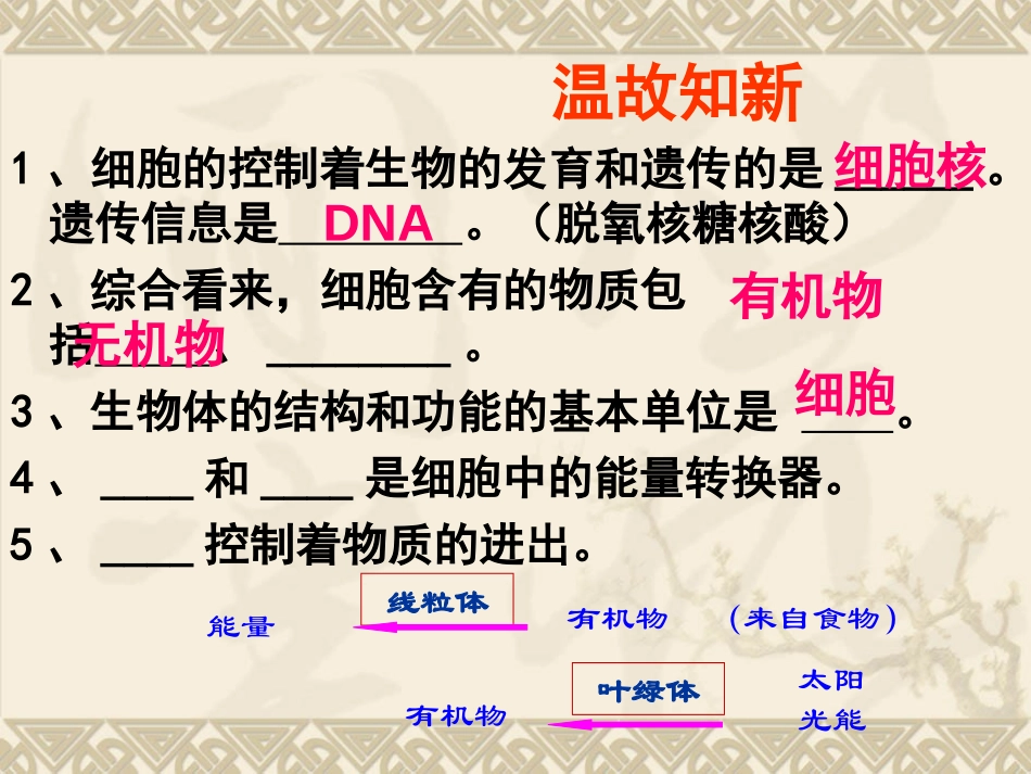 《细胞通过分裂产生新细胞》细胞怎样构成生物体PPT课件_第2页