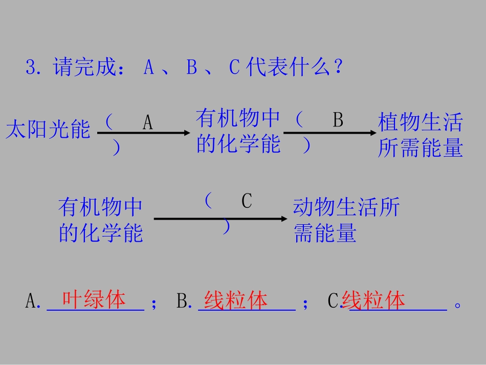 《细胞通过分裂产生新细胞》细胞怎样构成生物体PPT课件_第3页