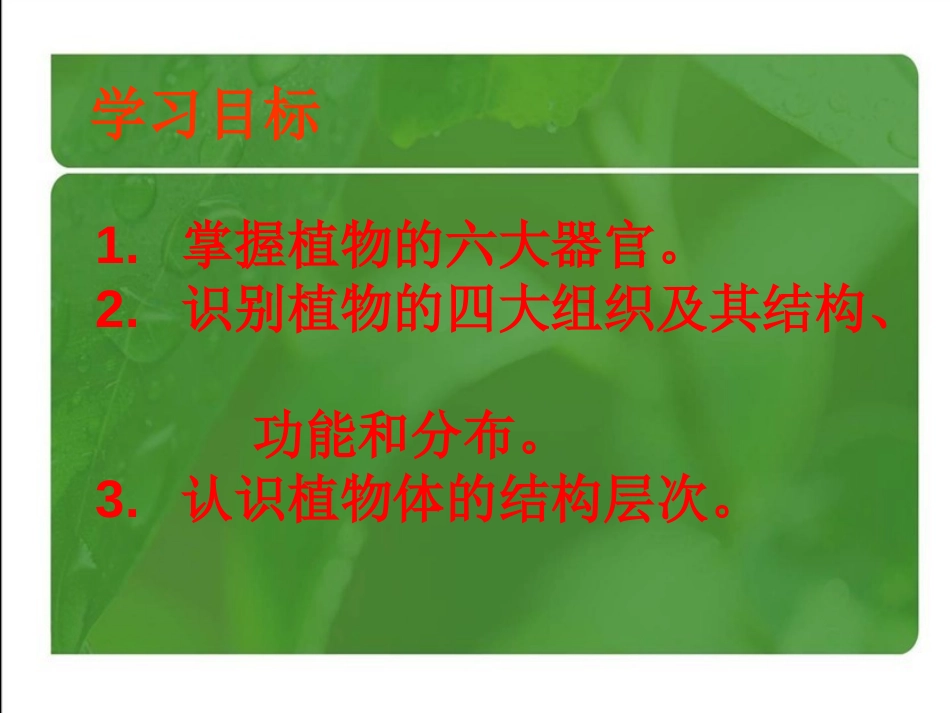 《植物体的结构层次》细胞怎样构成生物体PPT课件_第1页