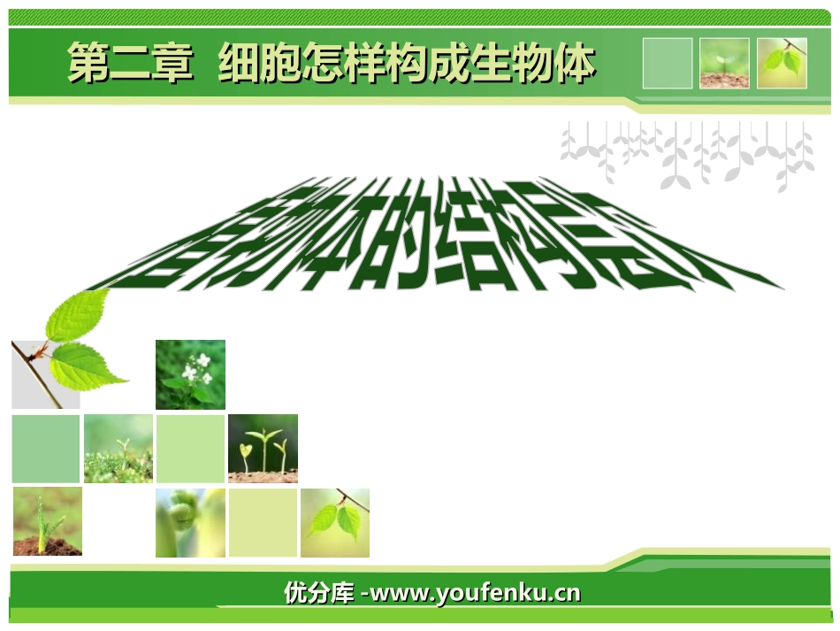 《植物体的结构层次》细胞怎样构成生物体PPT课件_第1页