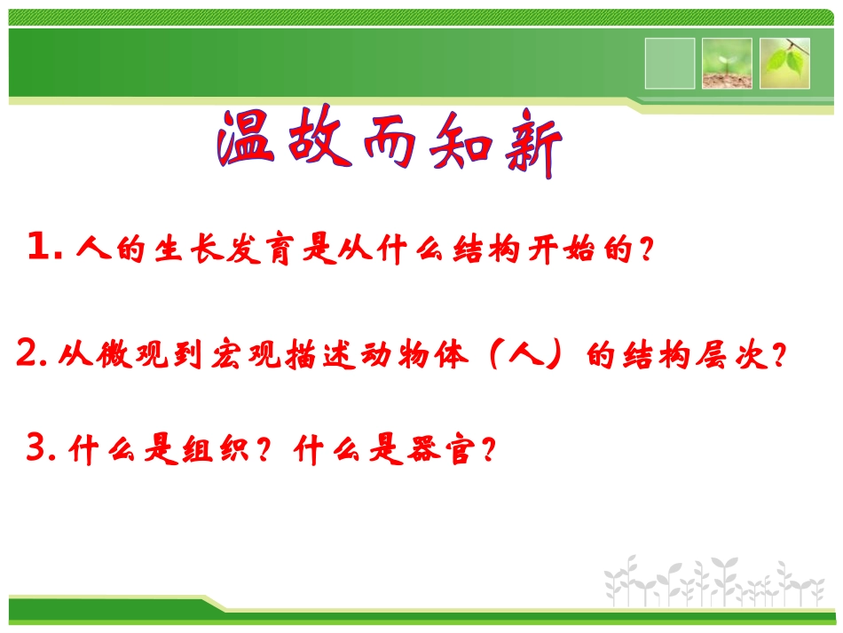 《植物体的结构层次》细胞怎样构成生物体PPT课件_第2页