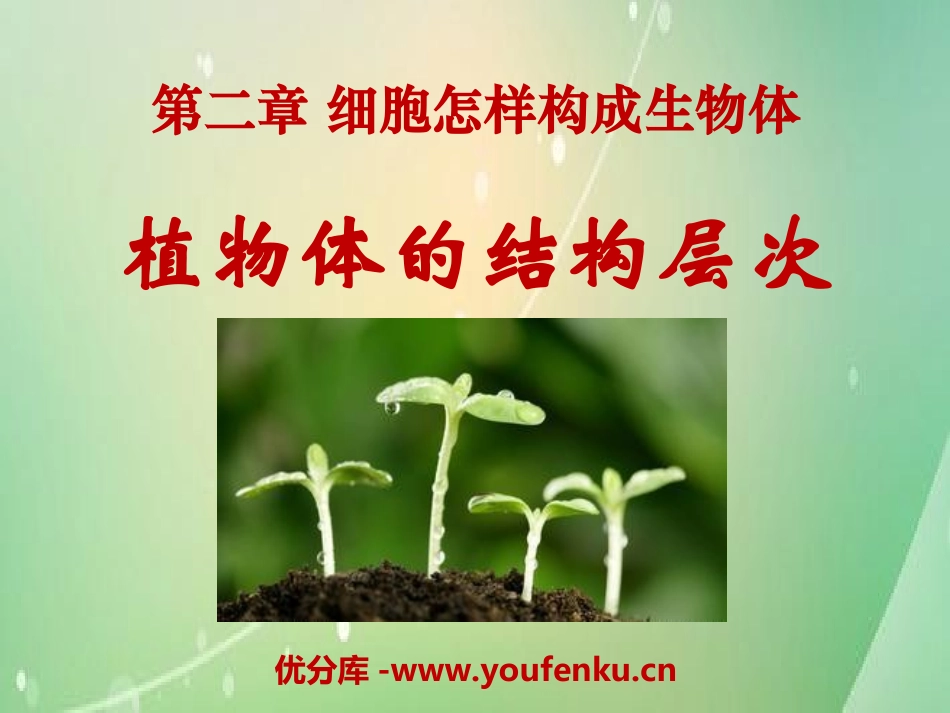 《植物体的结构层次》细胞怎样构成生物体PPT课件_第1页