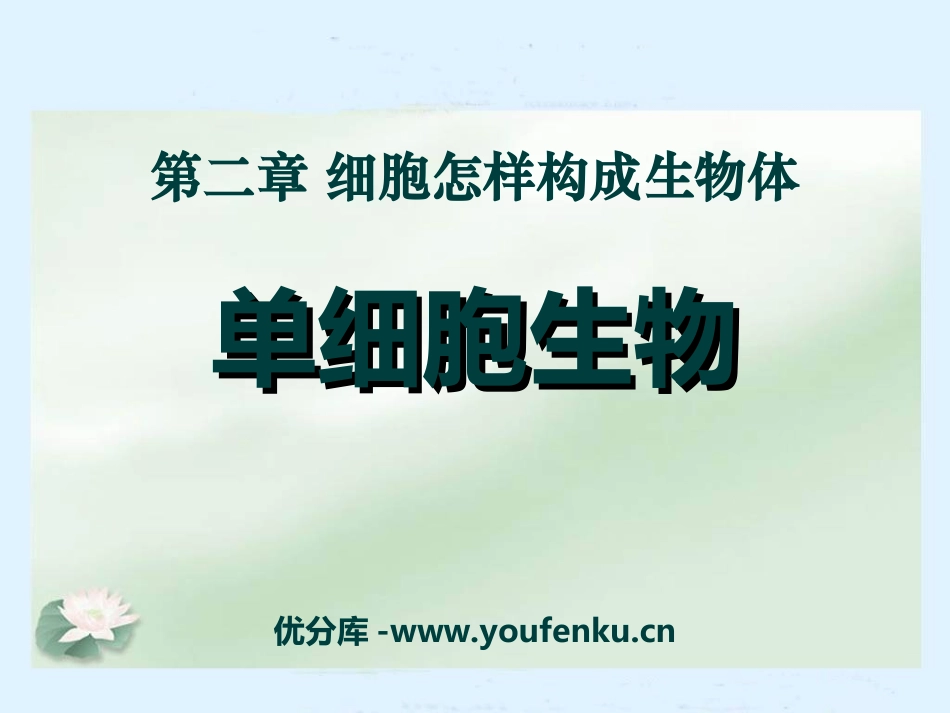 《单细胞生物》细胞怎样构成生物体PPT课件[人教版七年级生物]_第1页