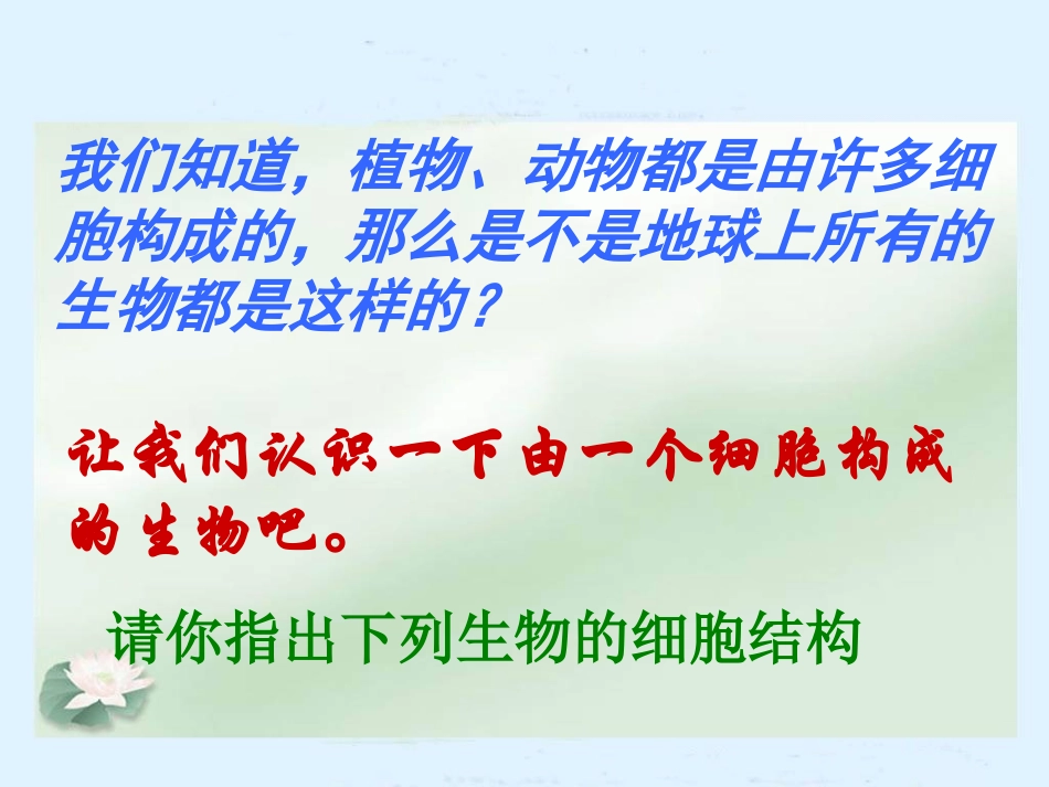 《单细胞生物》细胞怎样构成生物体PPT课件[人教版七年级生物]_第3页