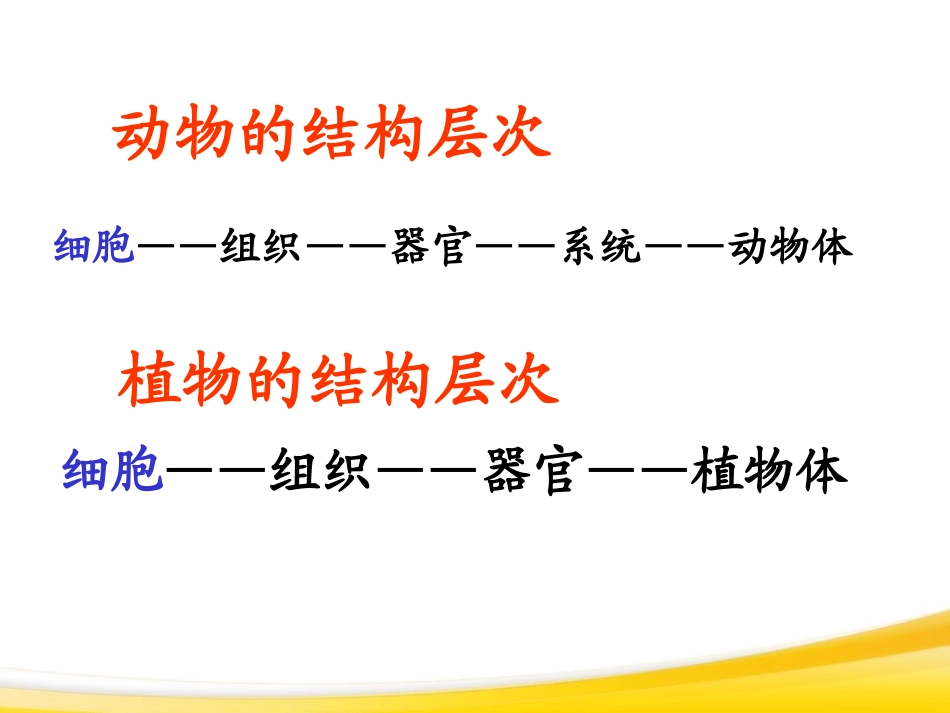《单细胞生物》细胞怎样构成生物体PPT课件[人教版七年级生物]_第2页
