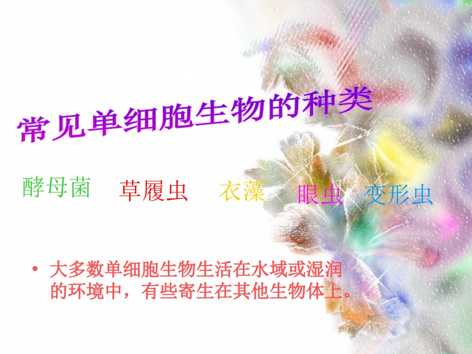 《单细胞生物》细胞怎样构成生物体PPT课件[人教版七年级生物]_第2页