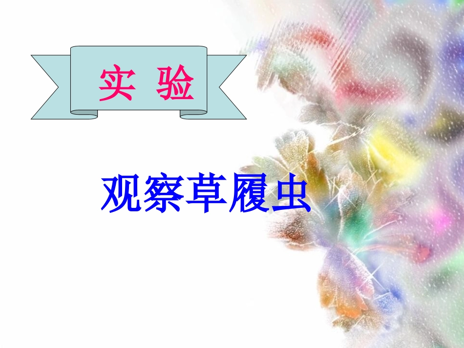 《单细胞生物》细胞怎样构成生物体PPT课件[人教版七年级生物]_第3页