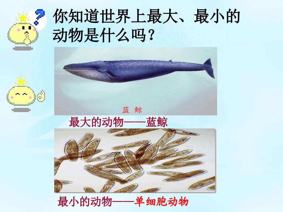 《单细胞生物》细胞怎样构成生物体PPT课件[人教版七年级生物]_第1页