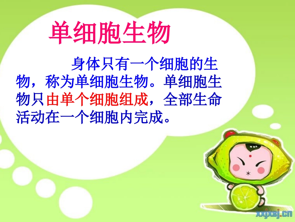 《单细胞生物》细胞怎样构成生物体PPT课件[人教版七年级生物]_第2页