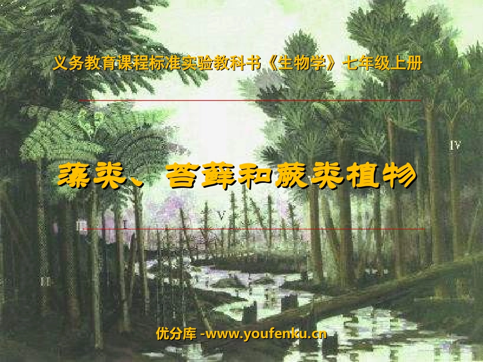 《藻类苔藓和蕨类植物》生物圈中有哪些绿色植物PPT课件_第1页