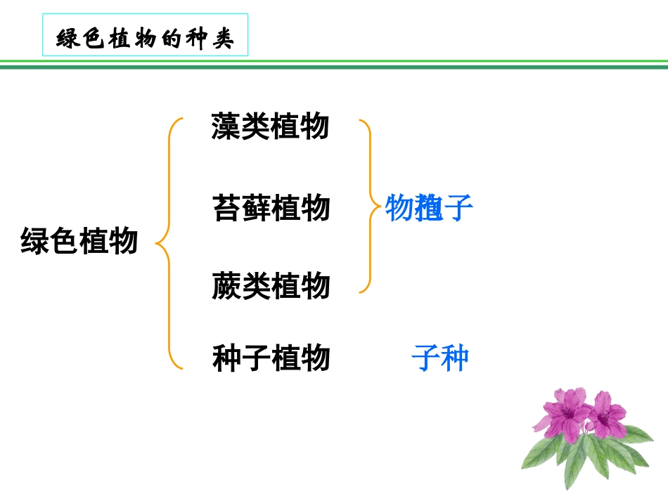 《藻类苔藓和蕨类植物》生物圈中有哪些绿色植物PPT课件_第3页