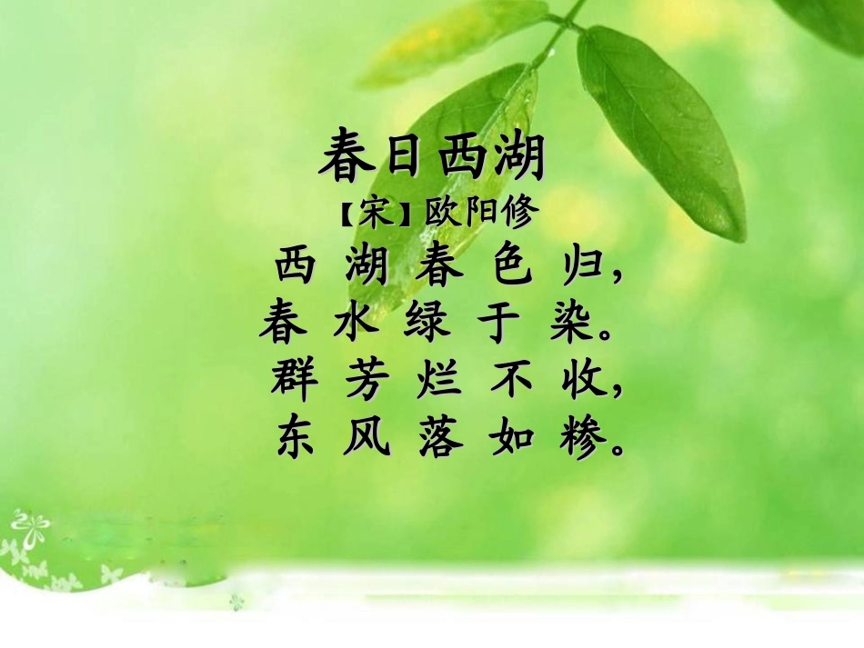 《藻类苔藓和蕨类植物》生物圈中有哪些绿色植物PPT课件_第3页
