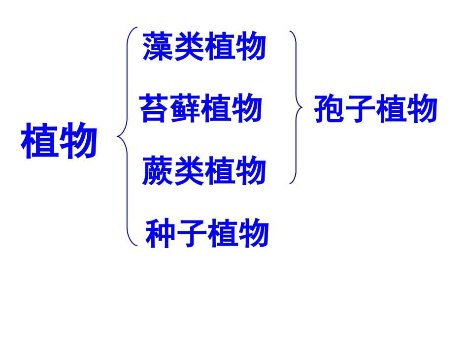 《种子植物》生物圈中有哪些绿色植物PPT课件[人教版七年级生物]_第2页