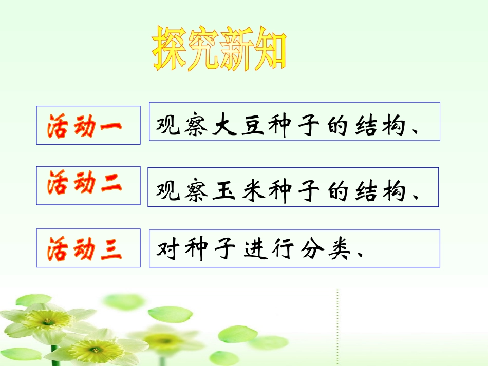 《种子植物》生物圈中有哪些绿色植物PPT课件[人教版七年级生物]_第3页