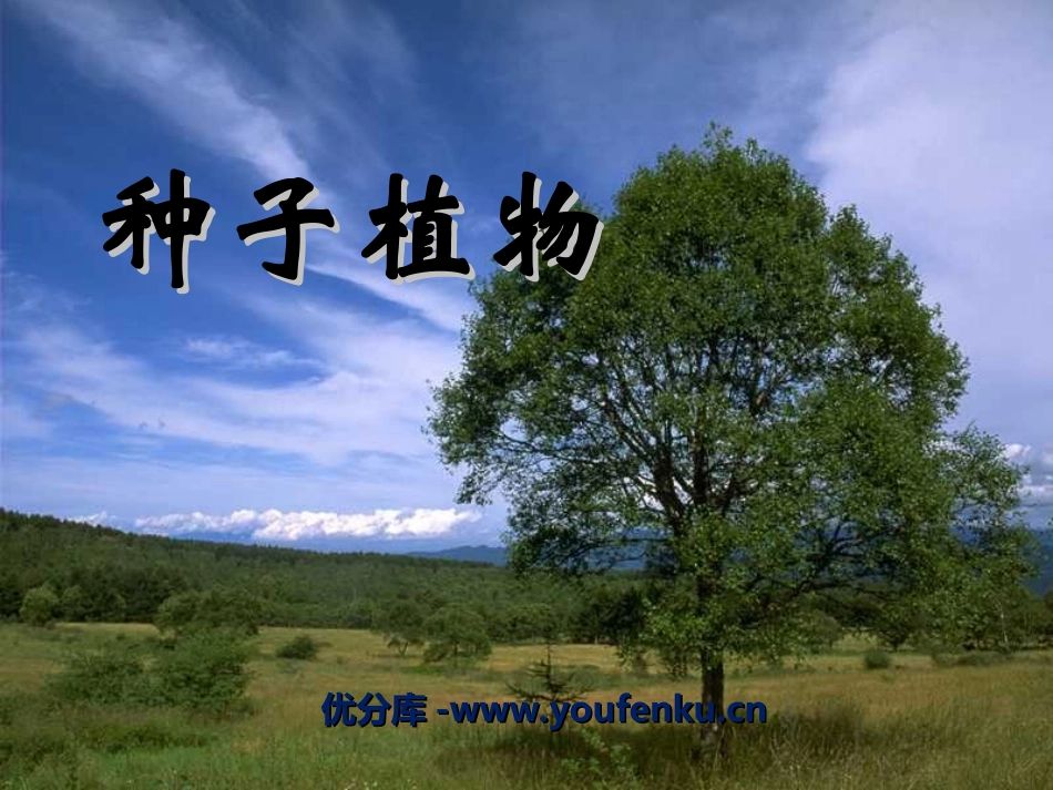 《种子植物》生物圈中有哪些绿色植物PPT课件[人教版七年级生物]_第1页