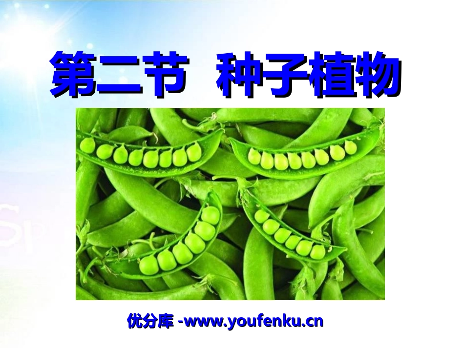 《种子植物》生物圈中有哪些绿色植物PPT课件[人教版七年级生物]_第1页
