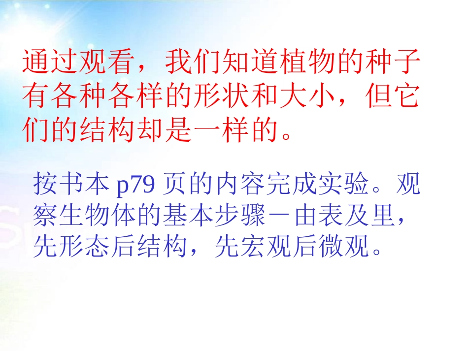 《种子植物》生物圈中有哪些绿色植物PPT课件[人教版七年级生物]_第3页