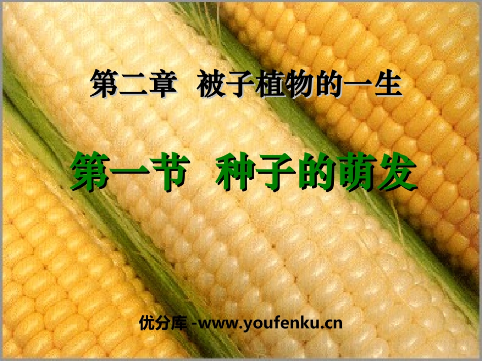 《种子的萌发》被子植物的一生PPT课件[人教版七年级生物]_第1页
