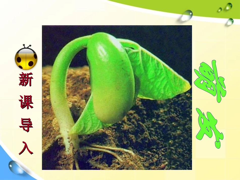 《种子的萌发》被子植物的一生PPT课件[人教版七年级生物]_第2页