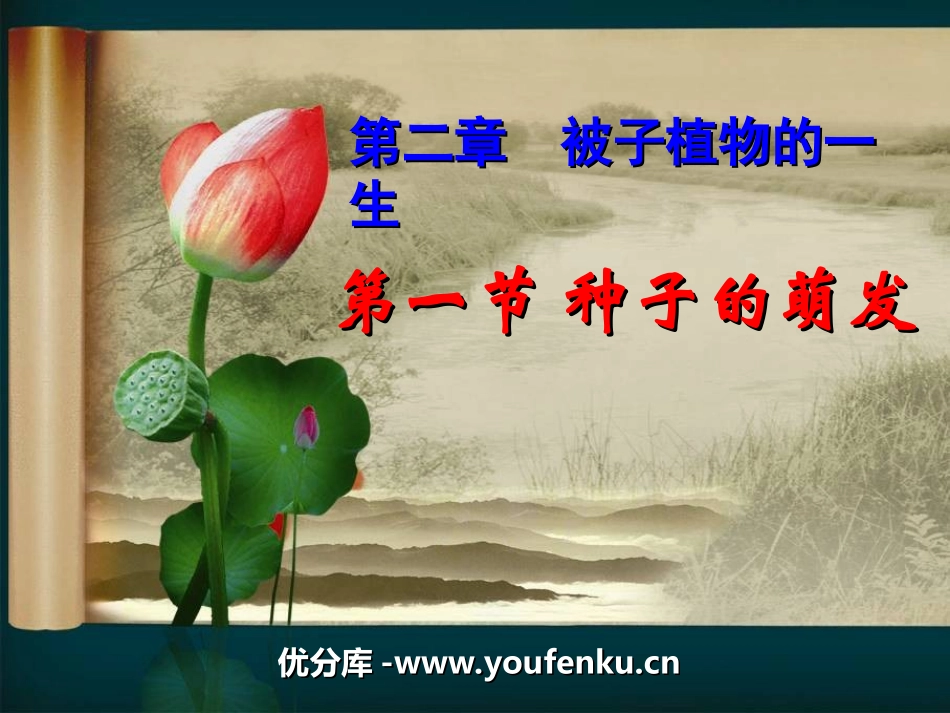 《种子的萌发》被子植物的一生PPT课件[人教版七年级生物]_第1页