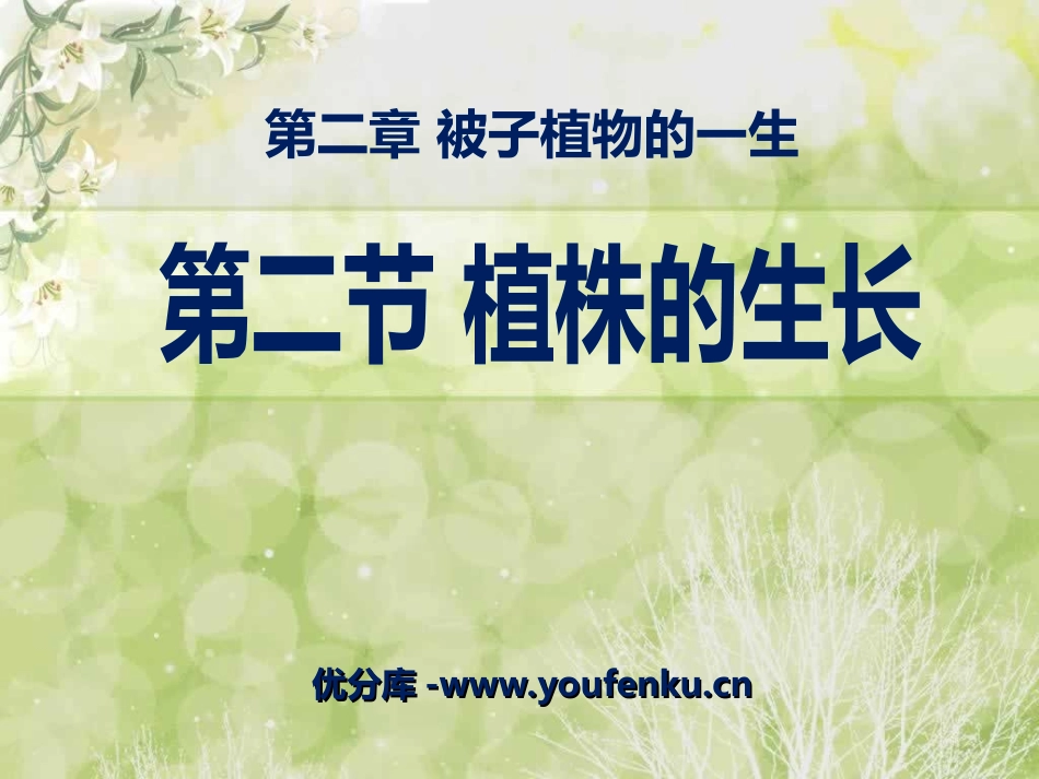 《植株的生长》被子植物的一生PPT课件[人教版七年级生物]_第1页