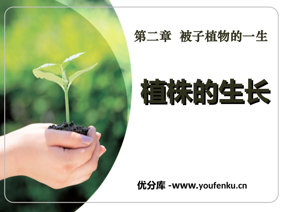《植株的生长》被子植物的一生PPT课件[人教版七年级生物]_第1页