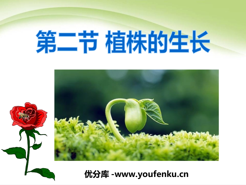 《植株的生长》被子植物的一生PPT课件[人教版七年级生物]_第1页