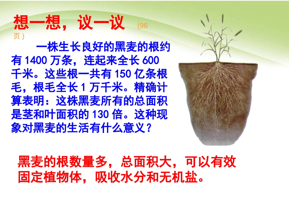 《植株的生长》被子植物的一生PPT课件[人教版七年级生物]_第2页