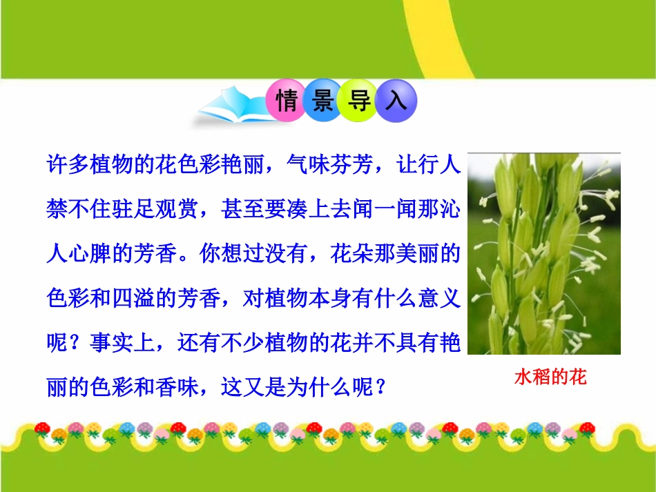 《开花和结果》被子植物的一生PPT课件[人教版七年级生物]_第1页