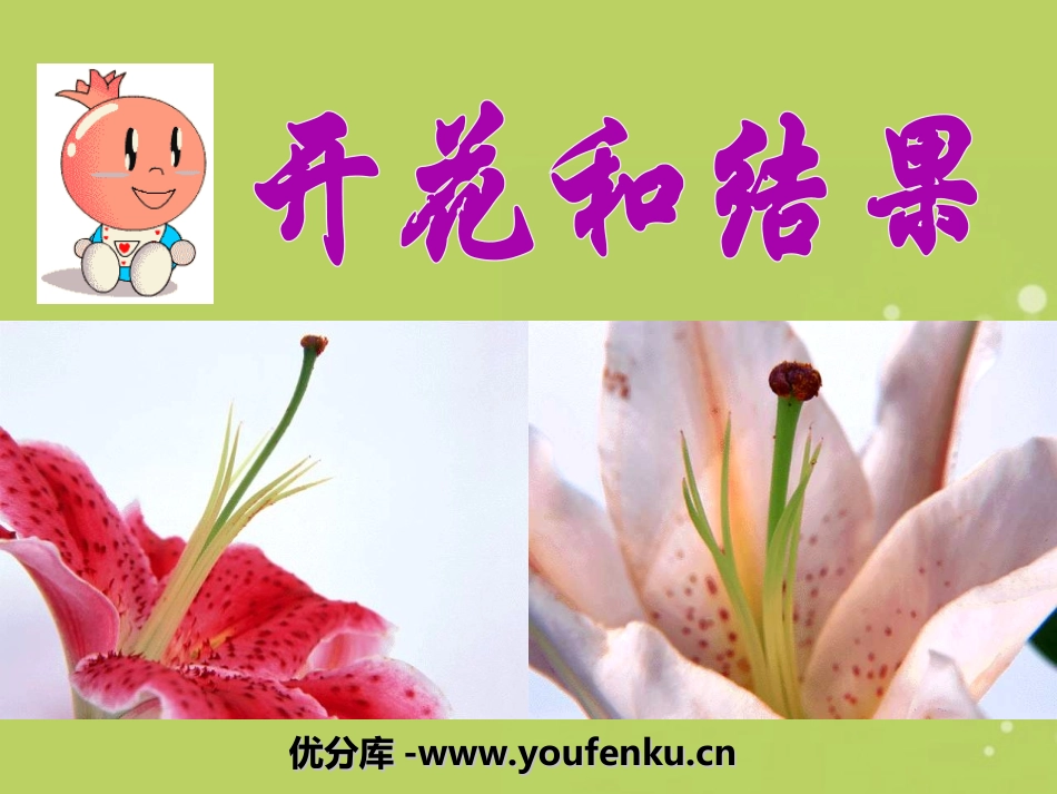 《开花和结果》被子植物的一生PPT课件[人教版七年级生物]_第1页