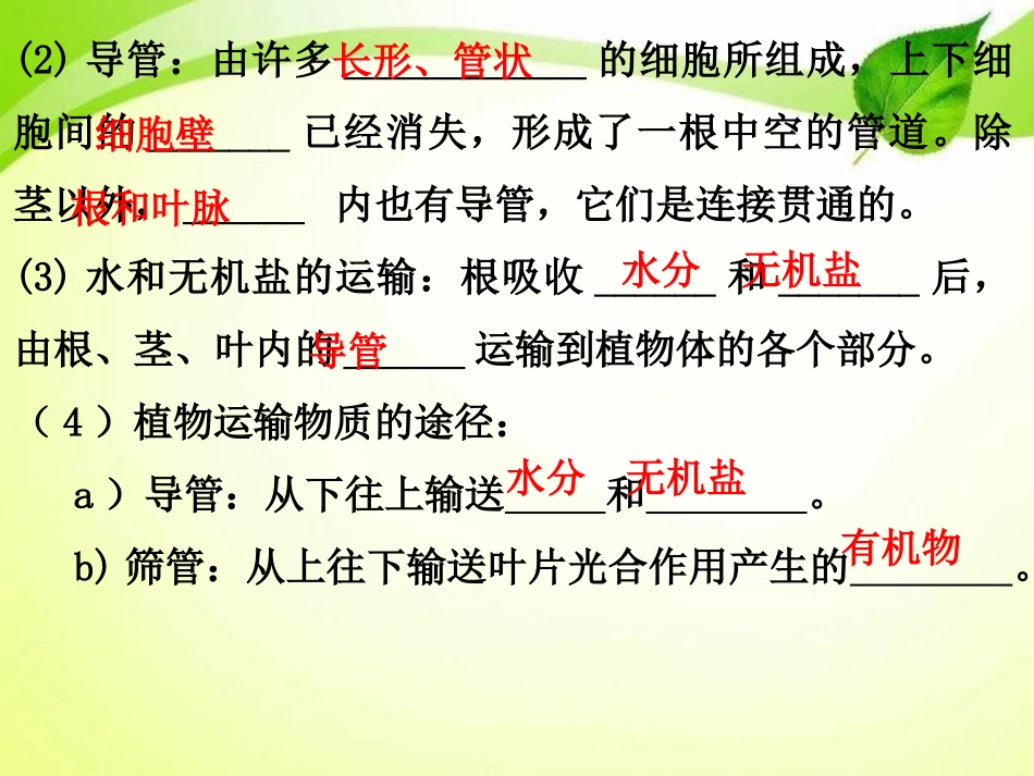 《绿色植物与生物圈的水循环》PPT课件[人教版七年级生物]_第3页
