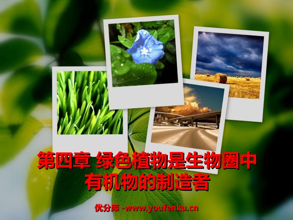 《绿色植物是生物圈中有机物的制造者》PPT课件[人教版七年级生物]_第1页