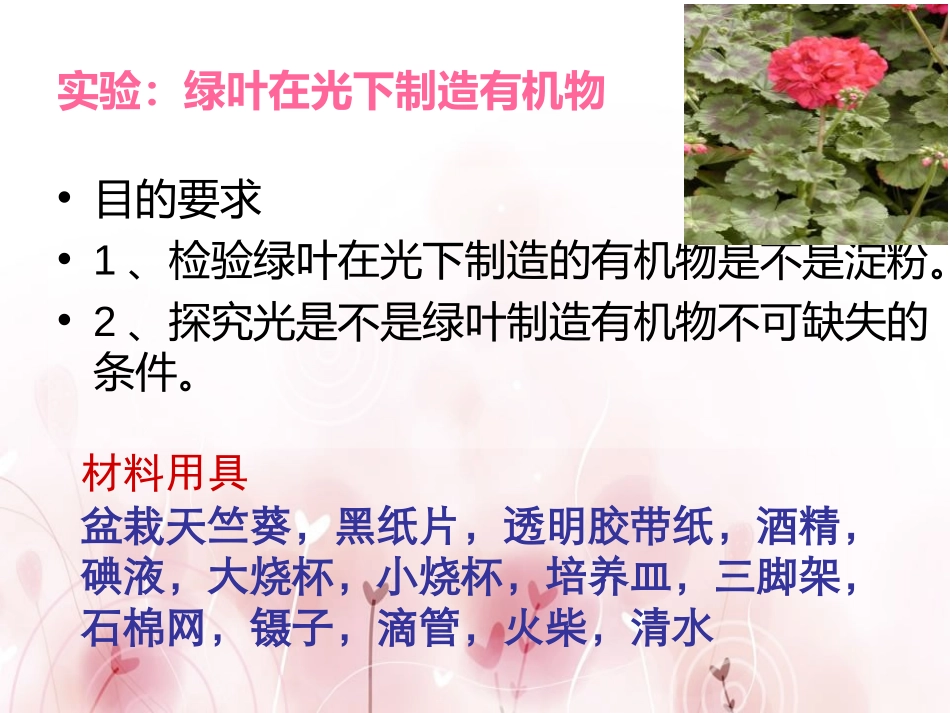 《绿色植物是生物圈中有机物的制造者》PPT课件[人教版七年级生物]_第3页
