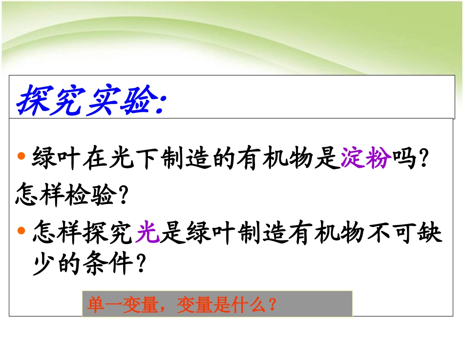 《绿色植物是生物圈中有机物的制造者》PPT课件[人教版七年级生物]_第3页