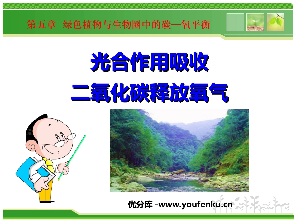 《光合作用吸收二氧化碳释放氧气》绿色植物与生物圈中碳-氧平衡PPT课件_第1页
