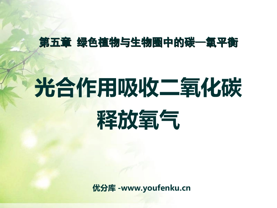 《光合作用吸收二氧化碳释放氧气》绿色植物与生物圈中碳-氧平衡PPT课件_第1页