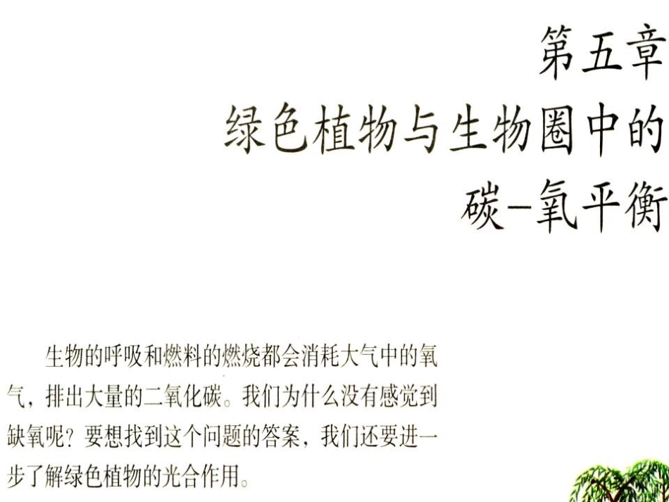 《光合作用吸收二氧化碳释放氧气》绿色植物与生物圈中碳-氧平衡PPT课件_第2页