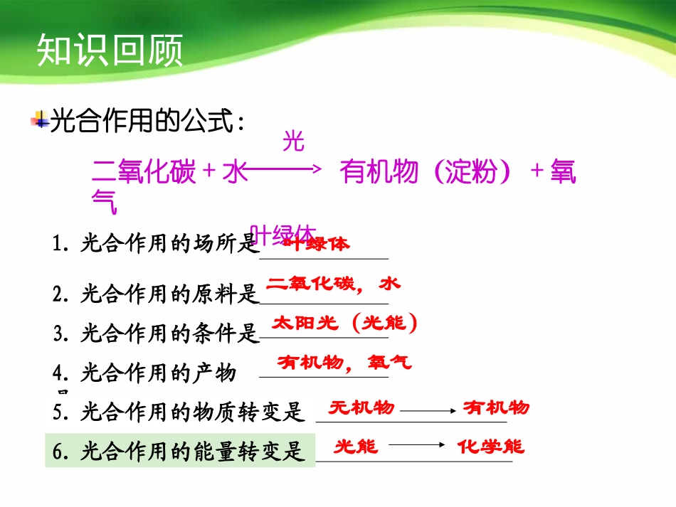 《绿色植物的呼吸作用》绿色植物与生物圈中碳-氧平衡PPT课件_第2页