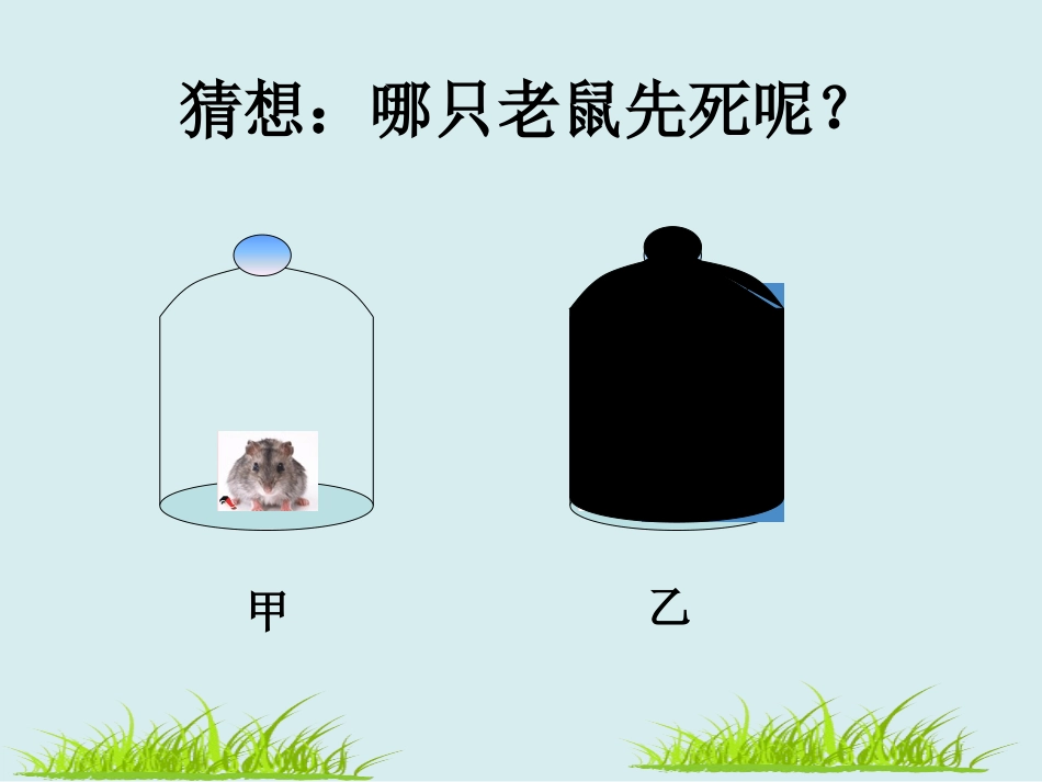 《绿色植物的呼吸作用》绿色植物与生物圈中碳-氧平衡PPT课件_第2页