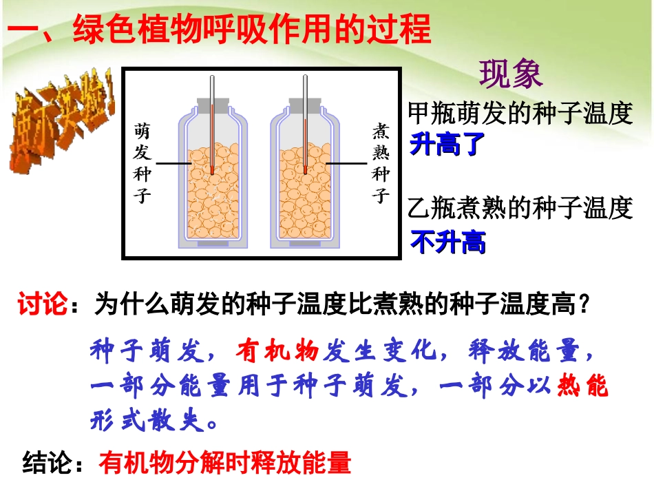 《绿色植物的呼吸作用》绿色植物与生物圈中碳-氧平衡PPT课件_第3页