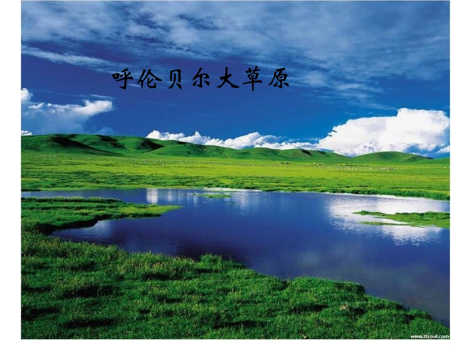 《爱护植被,绿化祖国》PPT课件[人教版七年级生物上册]_第3页