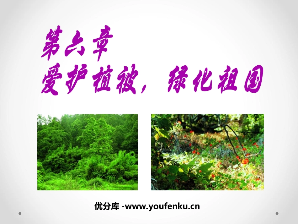 《爱护植被,绿化祖国》PPT课件[人教版七年级生物上册]_第1页