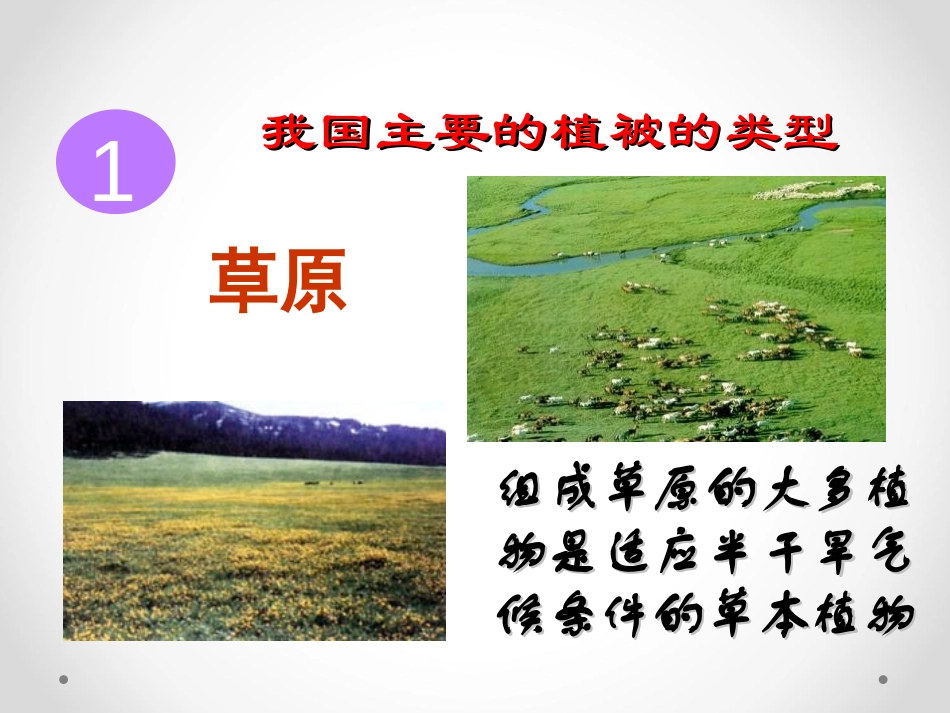 《爱护植被,绿化祖国》PPT课件[人教版七年级生物上册]_第3页