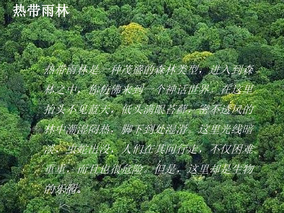 《爱护植被,绿化祖国》PPT课件[人教版七年级生物上册]_第3页
