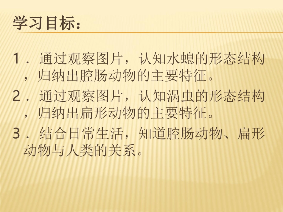 《腔肠动物和扁形动物》动物的主要类群PPT课件[人教版八年级生物]_第3页