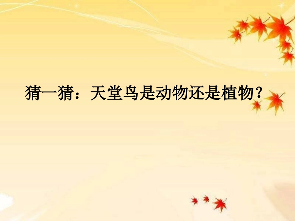 《腔肠动物和扁形动物》动物的主要类群PPT课件[人教版八年级生物]_第2页