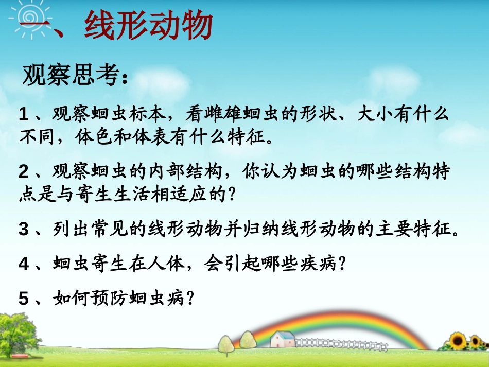 《线形动物和环节动物》动物的主要类群PPT课件[人教版八年级生物]_第3页