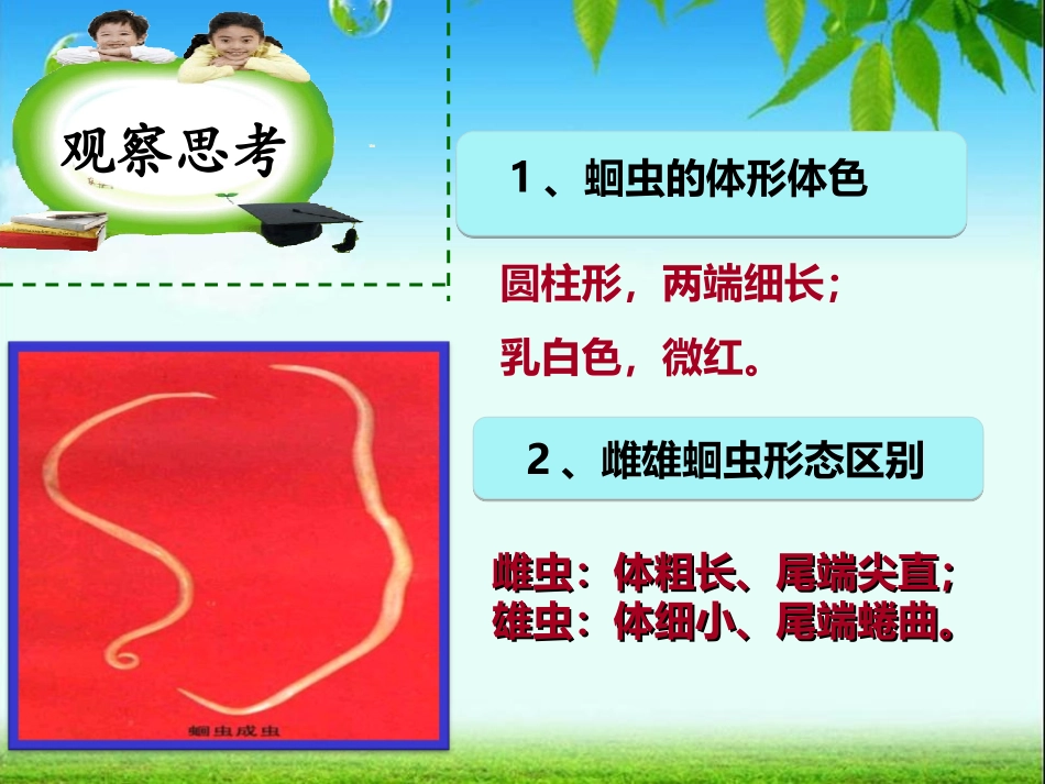 《线形动物和环节动物》动物的主要类群PPT课件[人教版八年级生物]_第3页