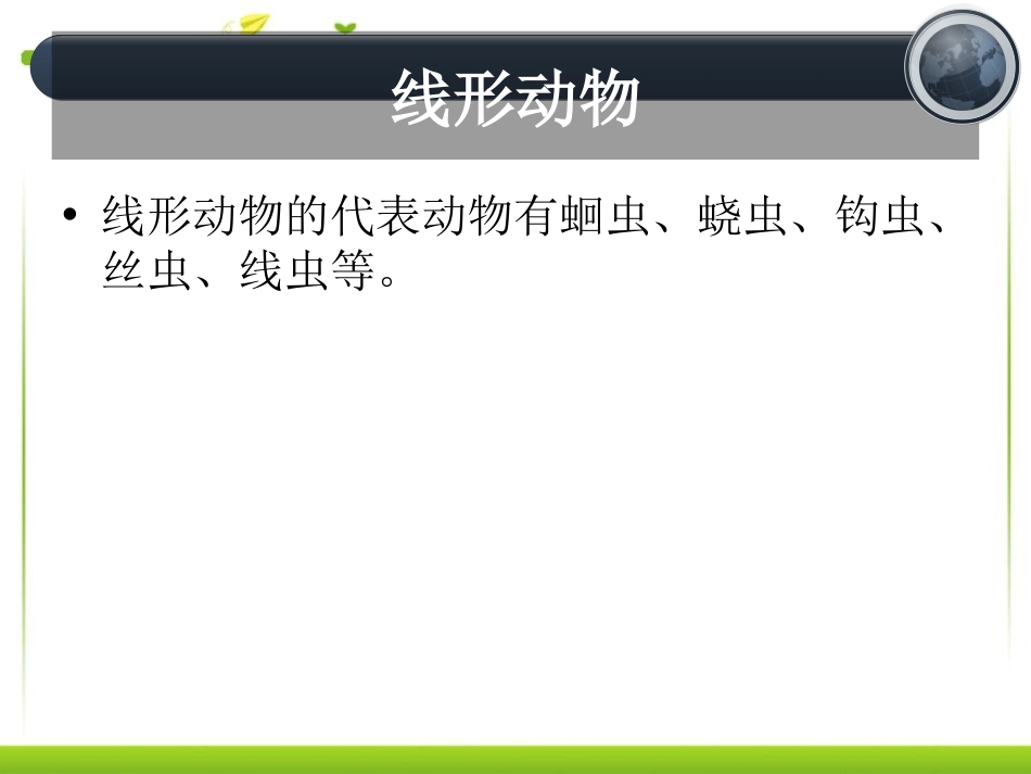 《线形动物和环节动物》动物的主要类群PPT课件[人教版八年级生物]_第3页