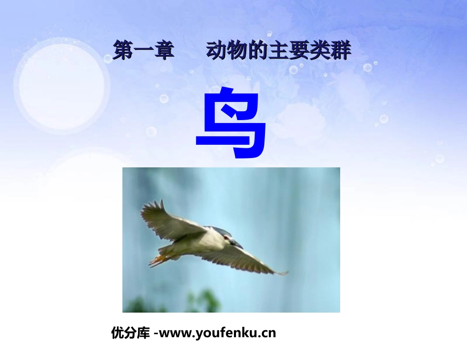 《鸟》动物的主要类群PPT课件[人教版八年级生物上册]_第1页